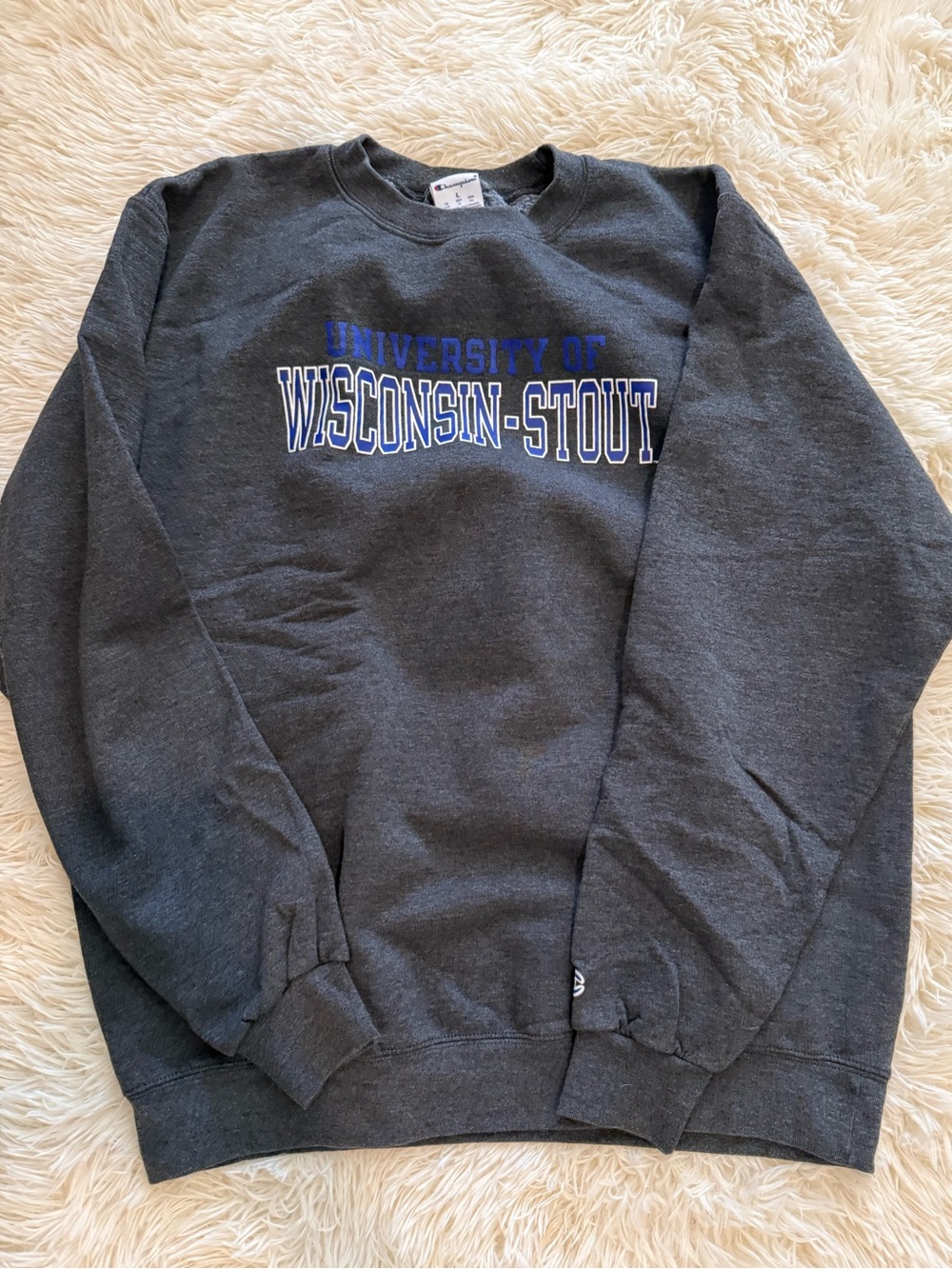 Wisconsin Stout crewneck sweatshirt